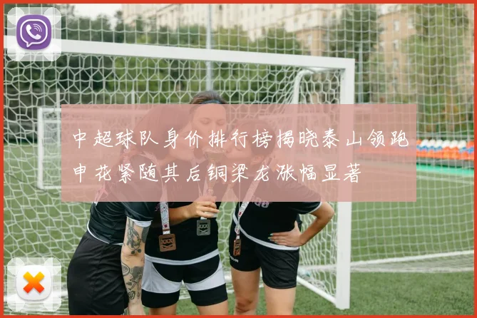 中超球队身价排行榜揭晓泰山领跑申花紧随其后铜梁龙涨幅显著