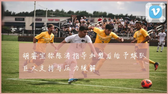 胡睿宝称陈涛指导加盟后给予球队巨大支持与压力缓解