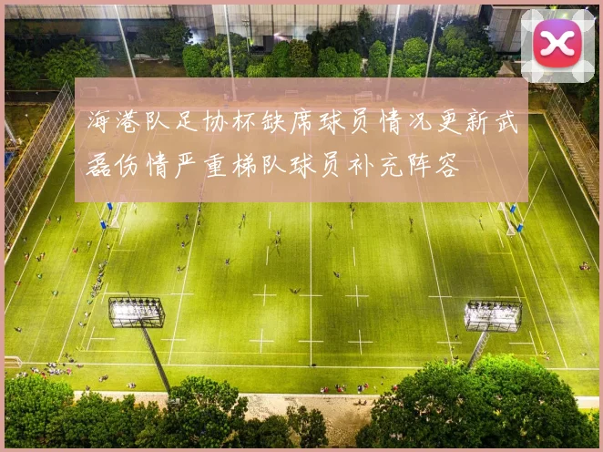 海港队足协杯缺席球员情况更新武磊伤情严重梯队球员补充阵容
